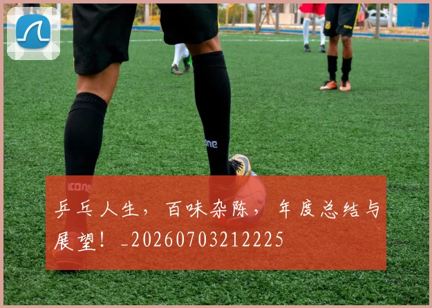 乒乓人生,百味杂陈,年度总结与展望!_20260703212225