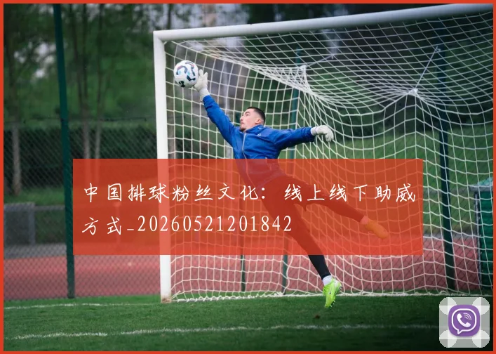 中国排球粉丝文化：线上线下助威方式_20260521201842