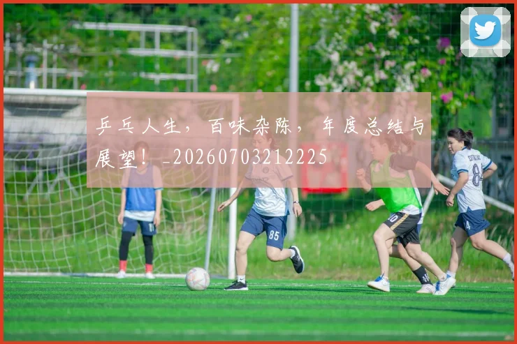 乒乓人生，百味杂陈，年度总结与展望！_20260703212225