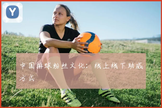 中国排球粉丝文化:线上线下助威方式