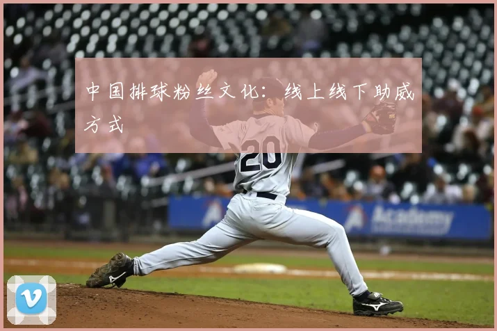 中国排球粉丝文化：线上线下助威方式