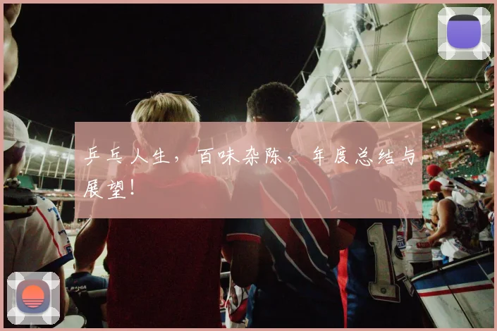 乒乓人生,百味杂陈,年度总结与展望!