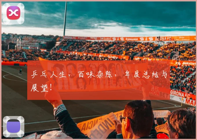 乒乓人生，百味杂陈，年度总结与展望！